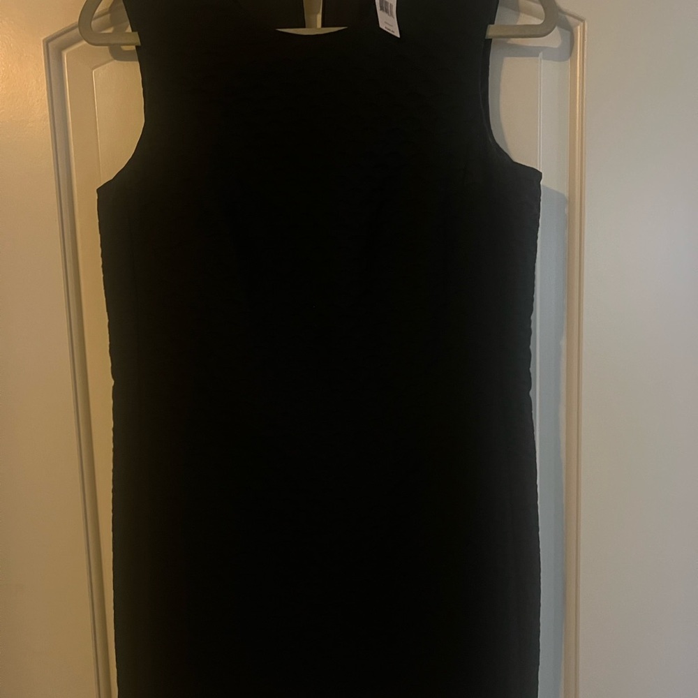Theory size 10 shift dress